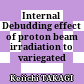 Internal Debudding effect of proton beam irradiation to variegated Petunia
