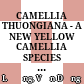 CAMELLIA THUONGIANA - A NEW YELLOW CAMELLIA SPECIES FROM VIETNAM