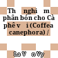 Thử nghiệm phân bón cho Cà phê vối (Coffea canephora) /