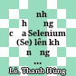 Ảnh hưởng của Selenium (Se) lên khả năng chịu hạn của giống mè đen ĐH1 trồng trên đất phù sa trong chậu tại Cần Thơ :