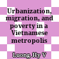 Urbanization, migration, and poverty in a Vietnamese metropolis