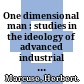 One dimensional man : studies in the ideology of advanced industrial society /
