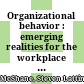 Organizational behavior : emerging realities for the workplace revolution /