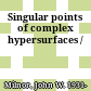 Singular points of complex hypersurfaces /
