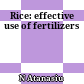 Rice: effective use of fertilizers