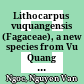 Lithocarpus vuquangensis (Fagaceae), a new species from Vu Quang National Park, Vietnam