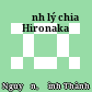 Định lý chia Hironaka