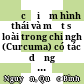 Đặc điểm hình thái và một số loài trong chi nghệ (Curcuma) có tác dụng làm thuốc ở Tây Nguyên = Morphological characteristics of some medicinal species of Curcuma in the Central Highlands of Vietnam