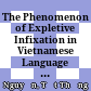 The Phenomenon of Expletive Infixation in Vietnamese Language From the Perspective of Pragmatics