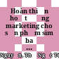 Hoàn thiện hoạt động marketing cho sản phẩm sim ba khía tại Mobifone tỉnh Trà Vinh