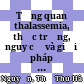 Tổng quan thalassemia, thực trạng, nguy cơ và giải pháp kiểm soát bệnh thalassemia ở Việt Nam