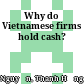Why do Vietnamese firms hold cash?