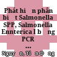 Phát hiện phân biệt Salmonella SPP, Salmonella Ennterica I bằng PCR và khảo sát tần số xuất hiện tương đối của S. Enterica I trong thủy sản, nước tự nhiên