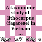 A taxonomic study of lithocarpus (fagaceae) in Vietnam based on molecular phylogeny and morphological observations