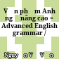 Văn phạm Anh ngữ nâng cao = Advanced English grammar /