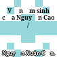 Về năm sinh của Nguyễn Cao /