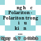 Động học Polariton - Polariton trong điều kiện kích thích xung cộng hưởng có thăm dò :