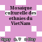 Mosaique culturelle des ethnies du VietNam