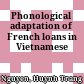 Phonological adaptation of French loans in Vietnamese