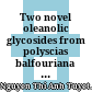 Two novel oleanolic glycosides from polyscias balfouriana bail (araliaceae) /