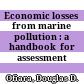Economic losses from marine pollution : a handbook  for assessment /