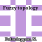 Fuzzy topology