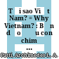 Tại sao Việt Nam? = Why Vietnam? : Bản dạo đầu con chim Hải Âu của nước Mỹ