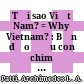 Tại sao Việt Nam? = Why Vietnam? : Bản dạo đầu con chim Hải Âu của nước Mỹ /