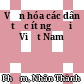 Văn hóa các dân tộc ít người Việt Nam