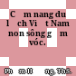 Cẩm nang du lịch Việt Nam non sông gấm vóc.