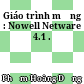 Giáo trình mạng : Nowell Netware 4.1 .