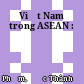 Việt Nam trong ASEAN :