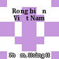 Rong biển  Việt Nam