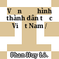 Vấn đề hình thành dân tộc Việt Nam /