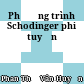 Phương trình Schodinger phi tuyến