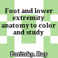 Foot and lower extremity anatomy to color and study