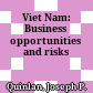 Viet Nam: Business opportunities and risks