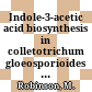 Indole-3-acetic acid biosynthesis in colletotrichum gloeosporioides f. sp. aeschynomene /