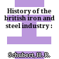 History of the british iron and steel industry :