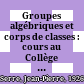 Groupes algébriques et corps de classes : cours au Collège de France /