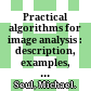 Practical algorithms for image analysis : description, examples, and code /