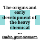 The origins and early development of the heavy chemical industry in France
