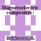 Magnetoelectric composites /