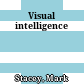 Visual intelligence