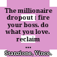 The millionaire dropout : fire your boss. do what you love. reclaim your life! /