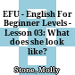 EFU - English For Beginner Levels - Lesson 03: What does she look like?