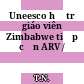 Uneesco hỗ trợ giáo viên Zimbabwe tiệp cận ARV /