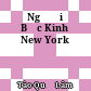Người Bắc Kinh ở New York