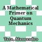 A Mathematical Primer on Quantum Mechanics
