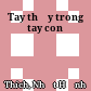 Tay thầy trong tay con
